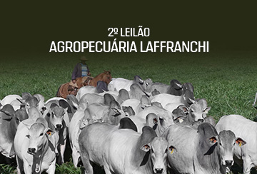 2º LEILÃO AGROPECUÁRIA LAFFRANCHI